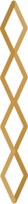 about-1-shape-4 alt